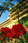 Magic Life Sarigerme Imperial 